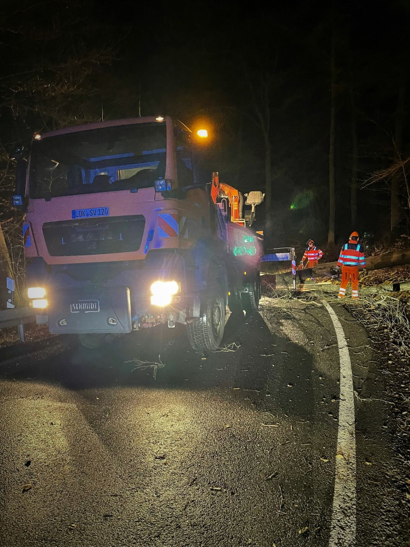 Vor allem die 64 umgestürzten Bäume im Kreisgebiet sorgten für viel Arbeit. Die Beseitigungen liefen ohne Probleme ab. (Foto: Lahn-Dill-Kreis)