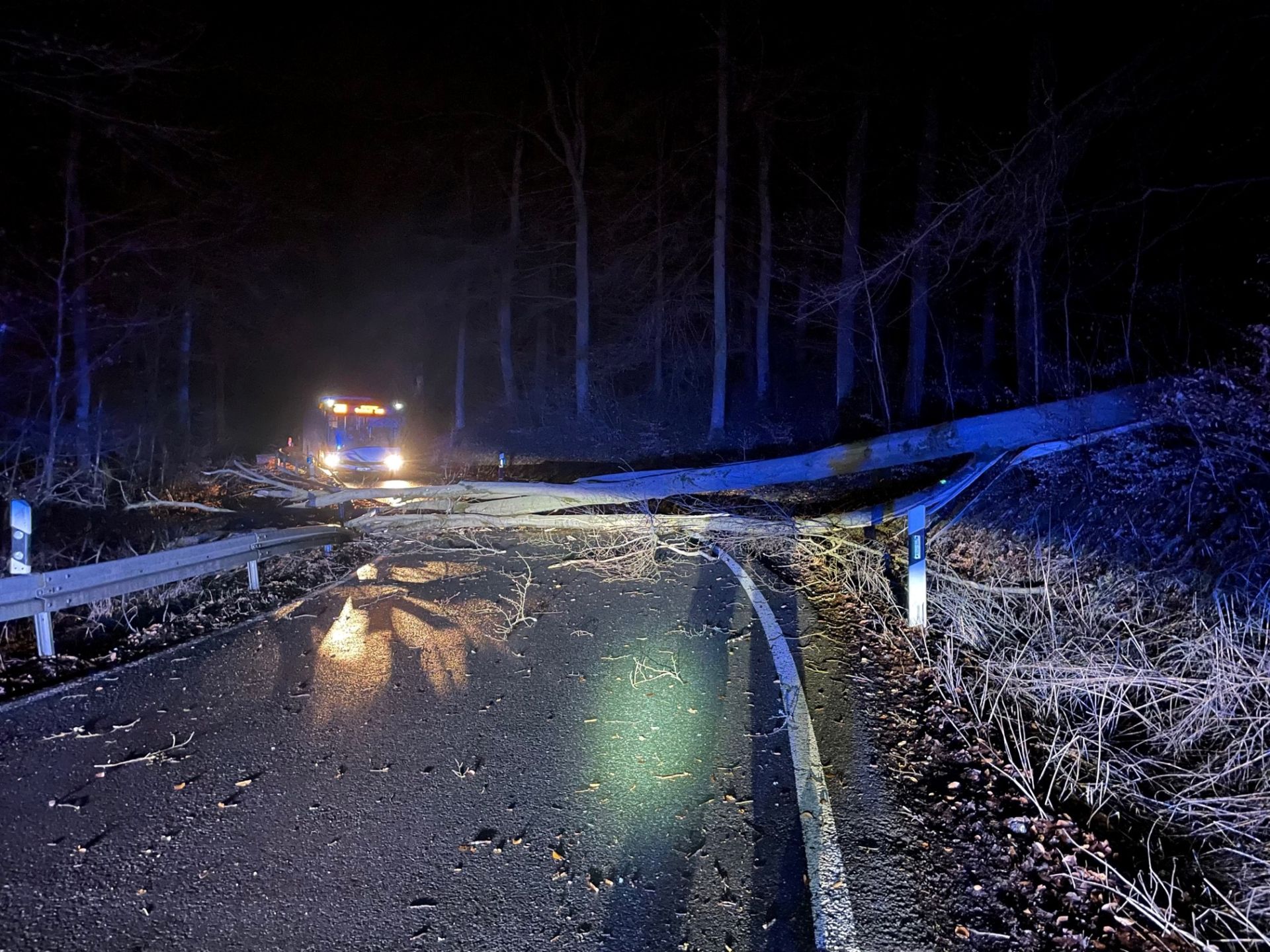 Zahlreiche Bäume, wie hier auf der L 3376 zwischen Aßlar-Bechlingen und Aßlar-Oberlemp, sind am Freitagabend durch Sturm „Zeynep“ auf die Straßen gestürzt. Vier Menschen wurden bei Unfällen verletzt. Foto: Lahn-Dill-Kreis