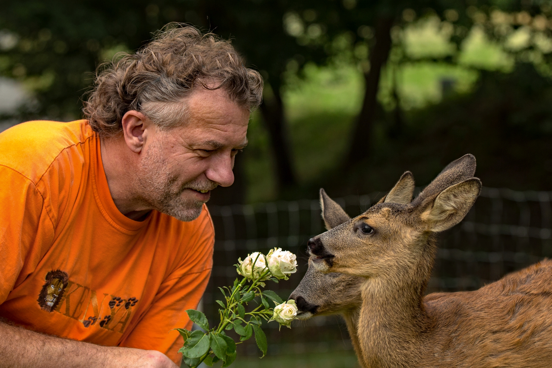 Werner Schmäing kümmert sich bei der Wildtierhilfe Schelderwald unter anderem um hilfsbedürftige Rehe. Für das gemeinsame Engagement werden er und seine Ehefrau Angelika (nicht im Bild) mit dem Naturschutzpreis 2021 ausgezeichnet. (Foto: Wildtierhilfe Schelderwald)