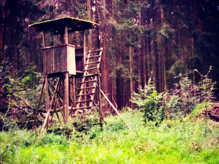 Gültigkeit der Jagdscheine jetzt bei der Unteren Jagdbehörde verlängern. (Foto: Lahn-Dill-Kreis)