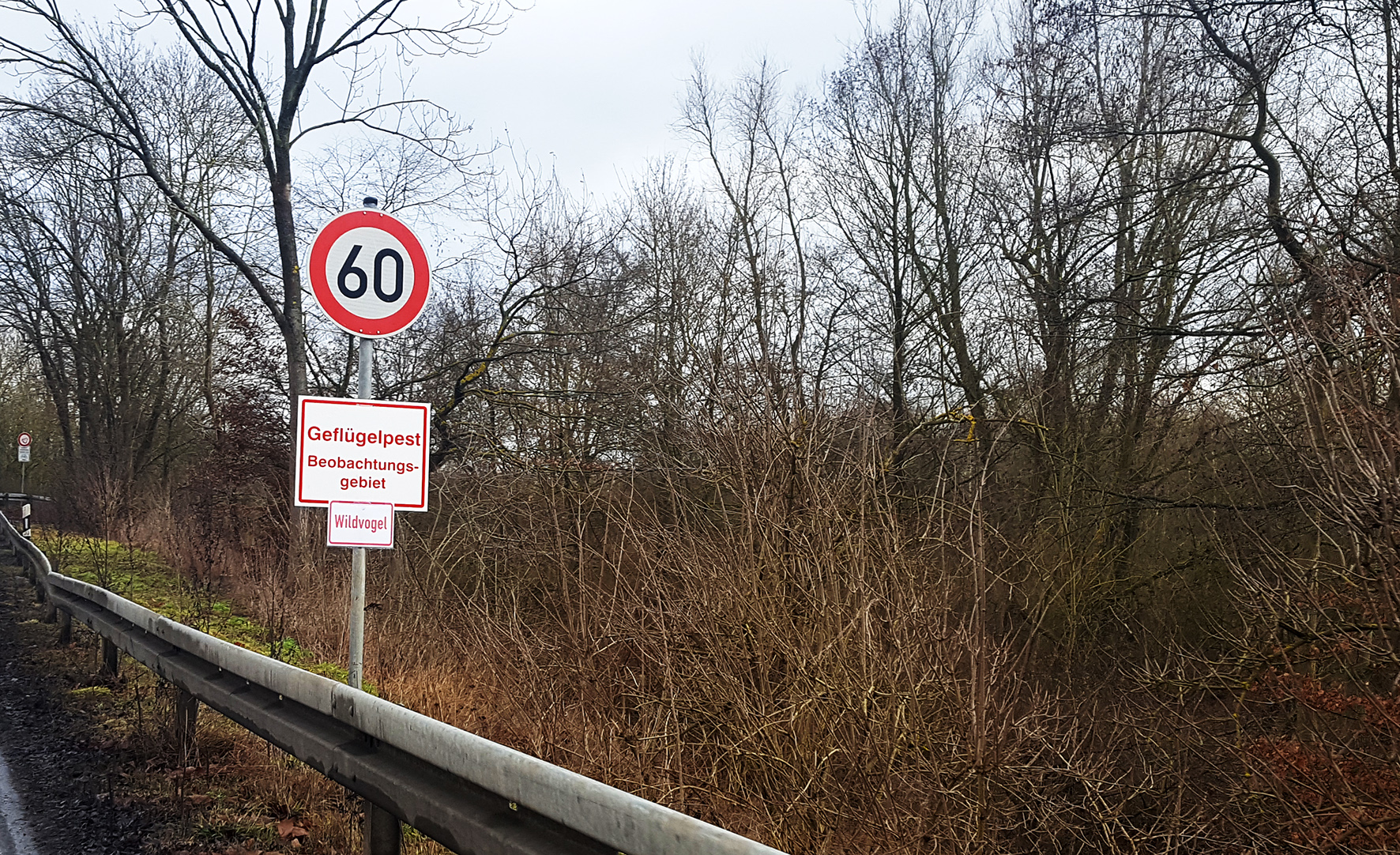 Kreis-Veterinäramt appelliert an Geflügelhalter, bereits jetzt Schutzmaßnahmen zu treffen. (Foto: Lahn-Dill-Kreis)