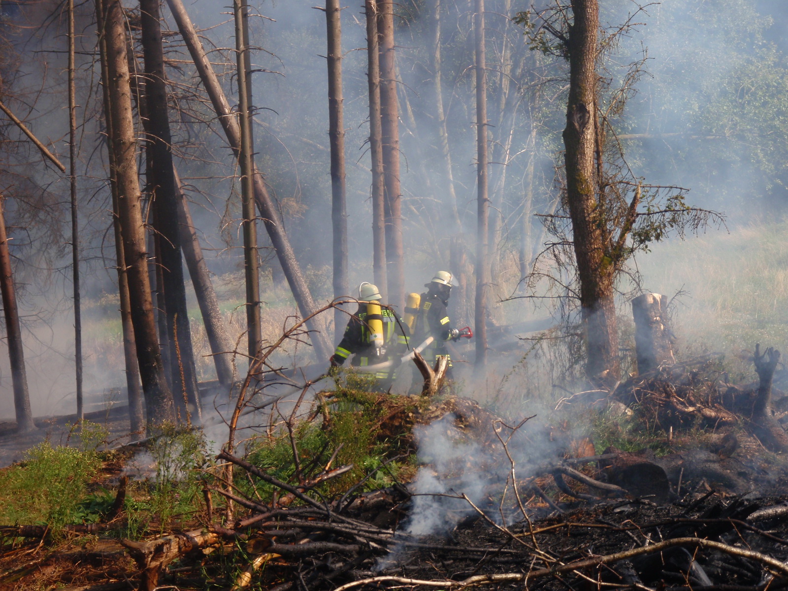 Vor allem in den Wäldern, in denen durch Waldschäden Freiflächen entstanden sind steigt das Risiko für Waldbrände. Foto: Lahn-Dill-Kreis