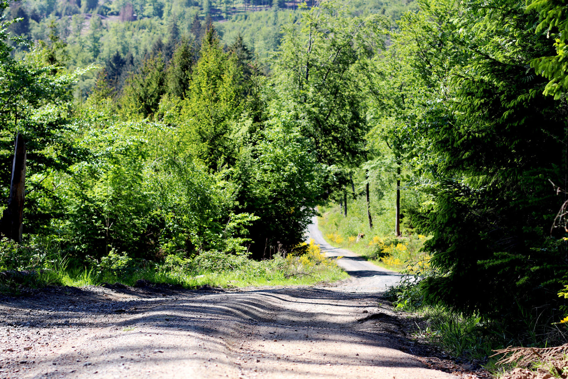 Wanderweg. Symbolbild: Lahn-Dill-Kreis