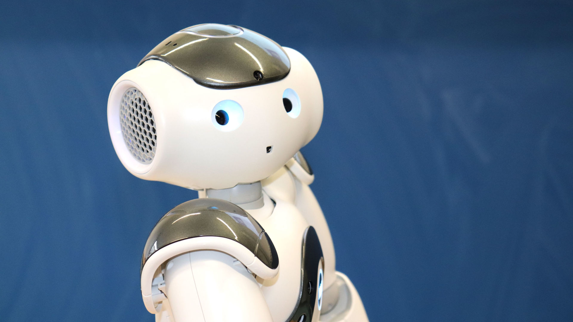 Das menschliche Aussehen und Verhalten des Roboters sollen bei Schülerinnen und Schülern die Freude am Programmieren wecken. (Foto: Lahn-Dill-Kreis)
