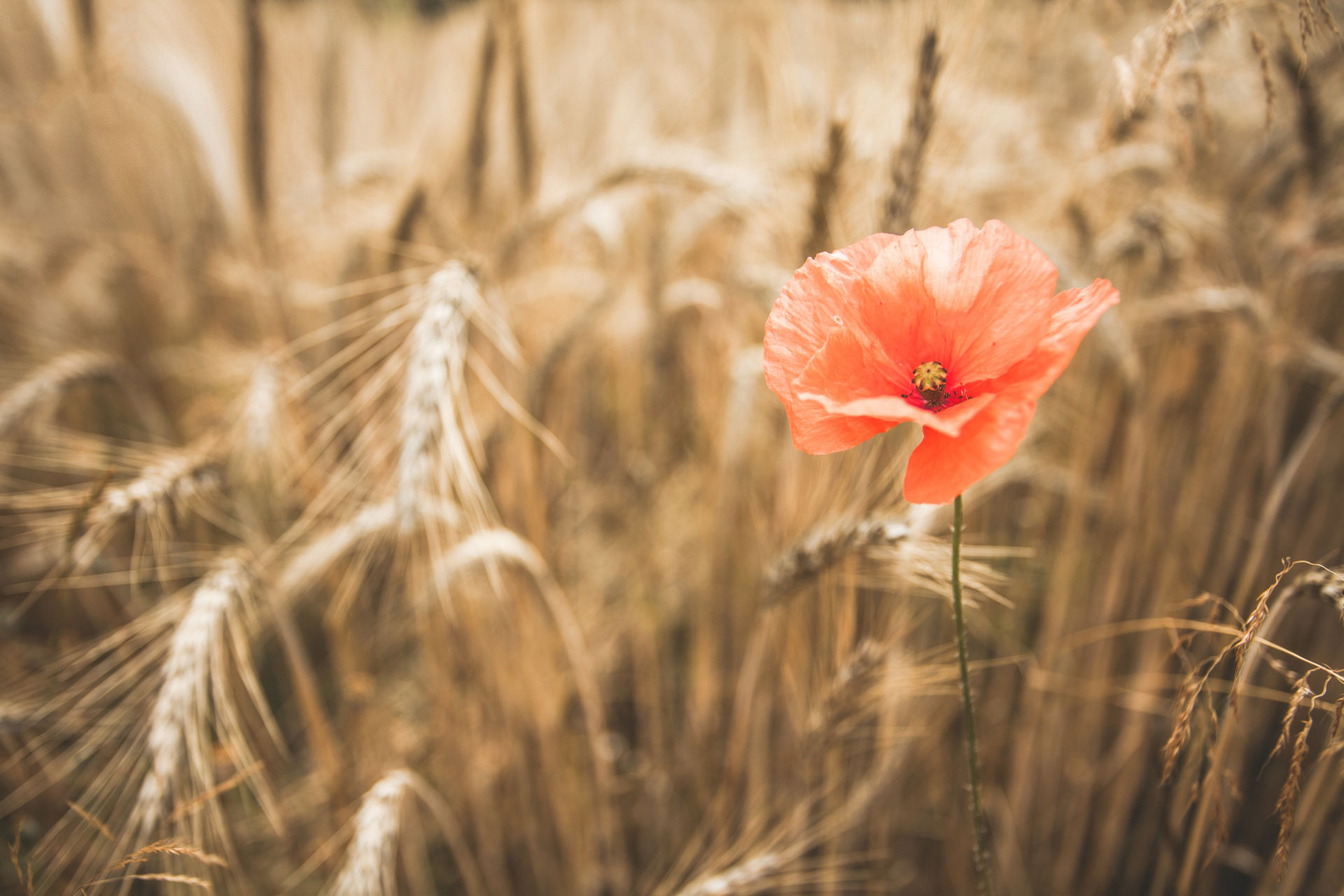 Foto: Lahn-Dill-Kreis