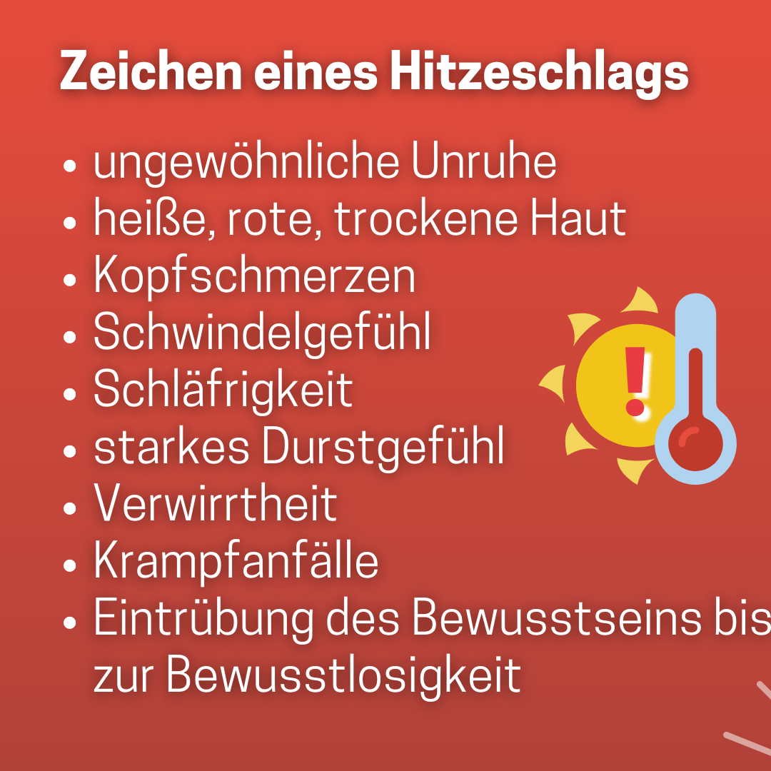 Informationsgrafik zum Thema "Gesund durch die Hitze"