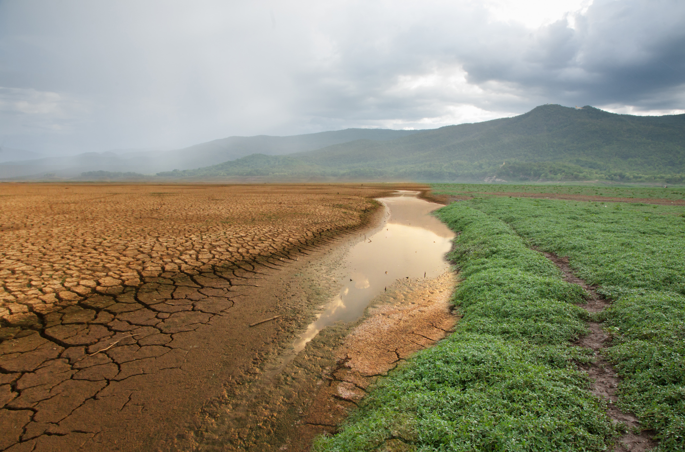 Fotos zum Download für HP Beim Klimafolgenanpassungsworkshop wurden Ideen gesammelt, um effektiv auf Klimaveränderungen zu reagieren. Foto: piyaset von Getty Images Signature via canva.com