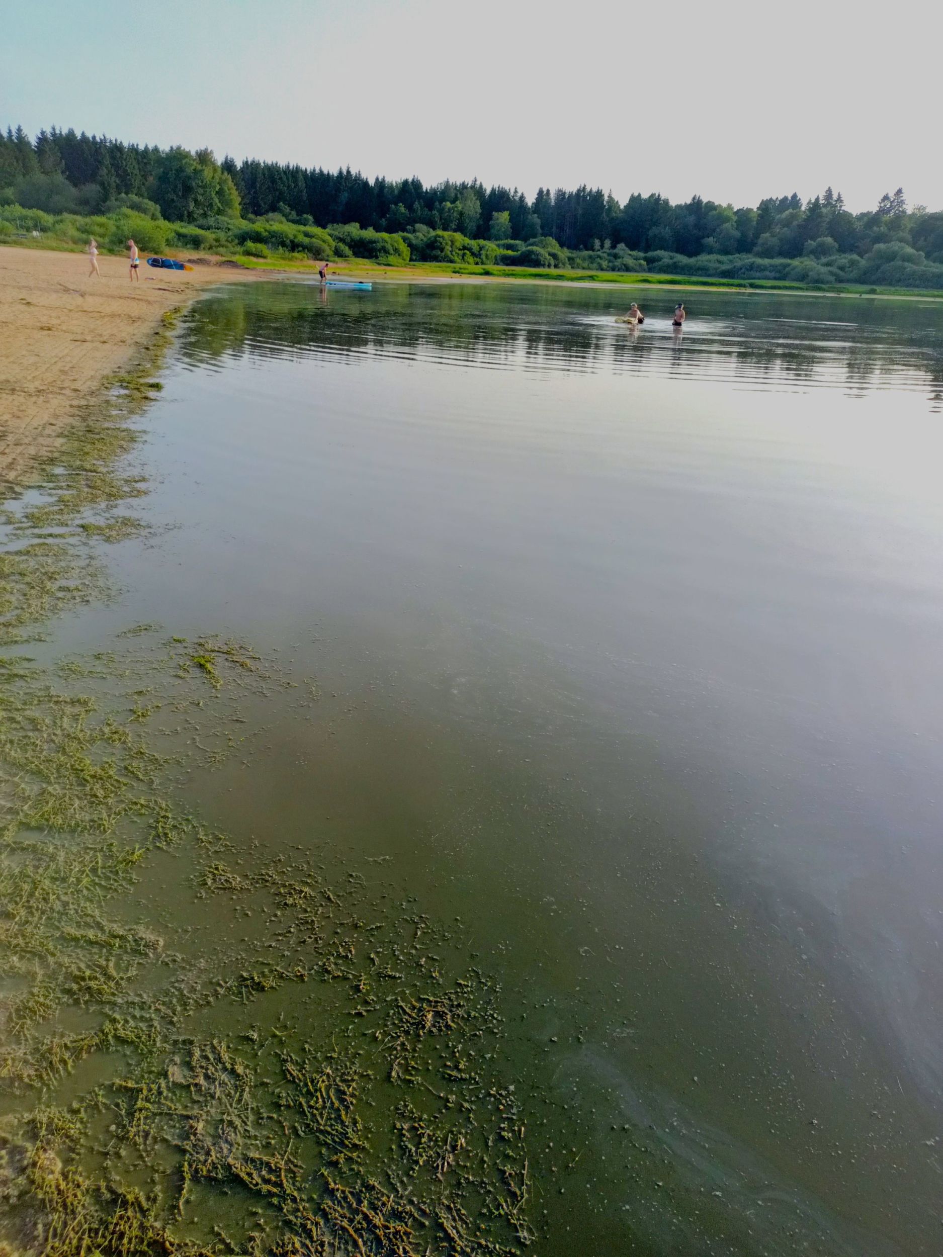 Dieser Algenteppich hat sich zurückgebildet – das Baden in der Krombachtalsperre ist wieder erlaubt. Foto: Lahn-Dill-Kreis