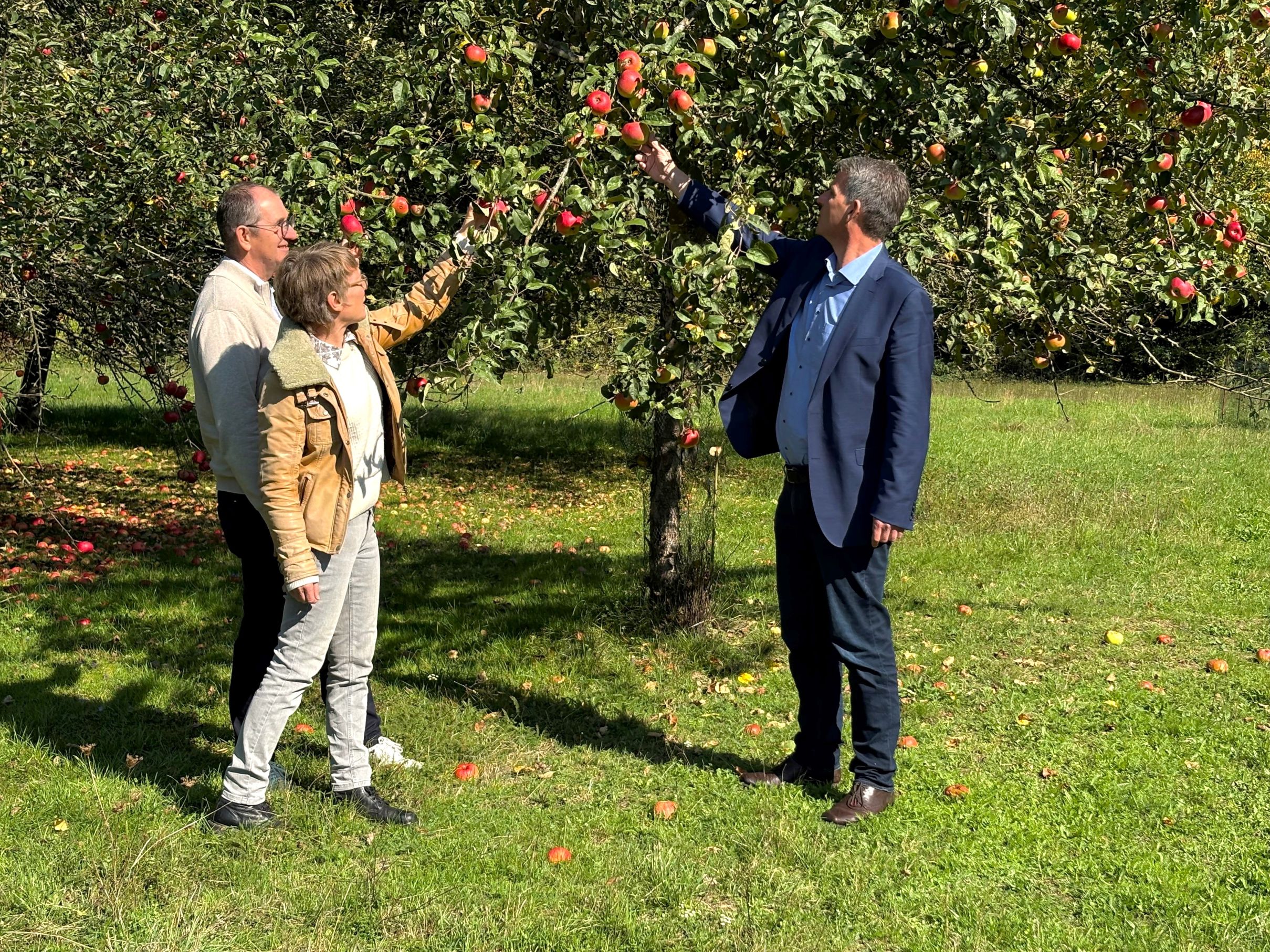 Streuobstwiesen prägen unsere Landschaft. Frank Inderthal (rechts), Christian Ortmann (links) und Dorothea Gillert-Marien (2 v. l.) von der Unteren Naturschutzbehörde des Kreises begrüßen die neue Förderrichtlinie für Streuobstwiesen. Foto: Lahn-Dill-Kreis