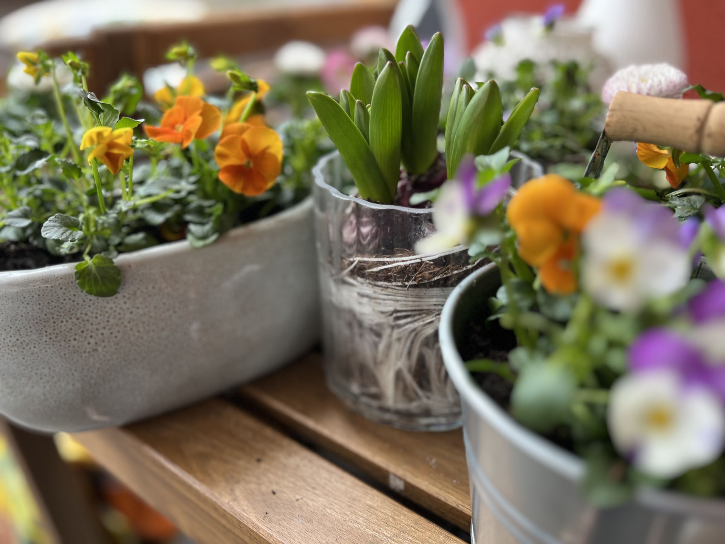 Die Untere Naturschutzbehörde des Lahn-Dill-Kreises empfiehlt beim Gärtnern auf torffreie Blumenerde zu setzen. Foto: Lahn-Dill-Kreis
